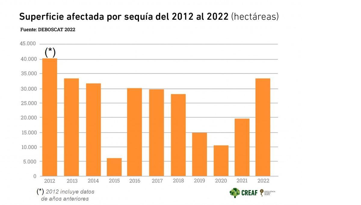 Superficie forestal afectada por la sequía en Cataluña