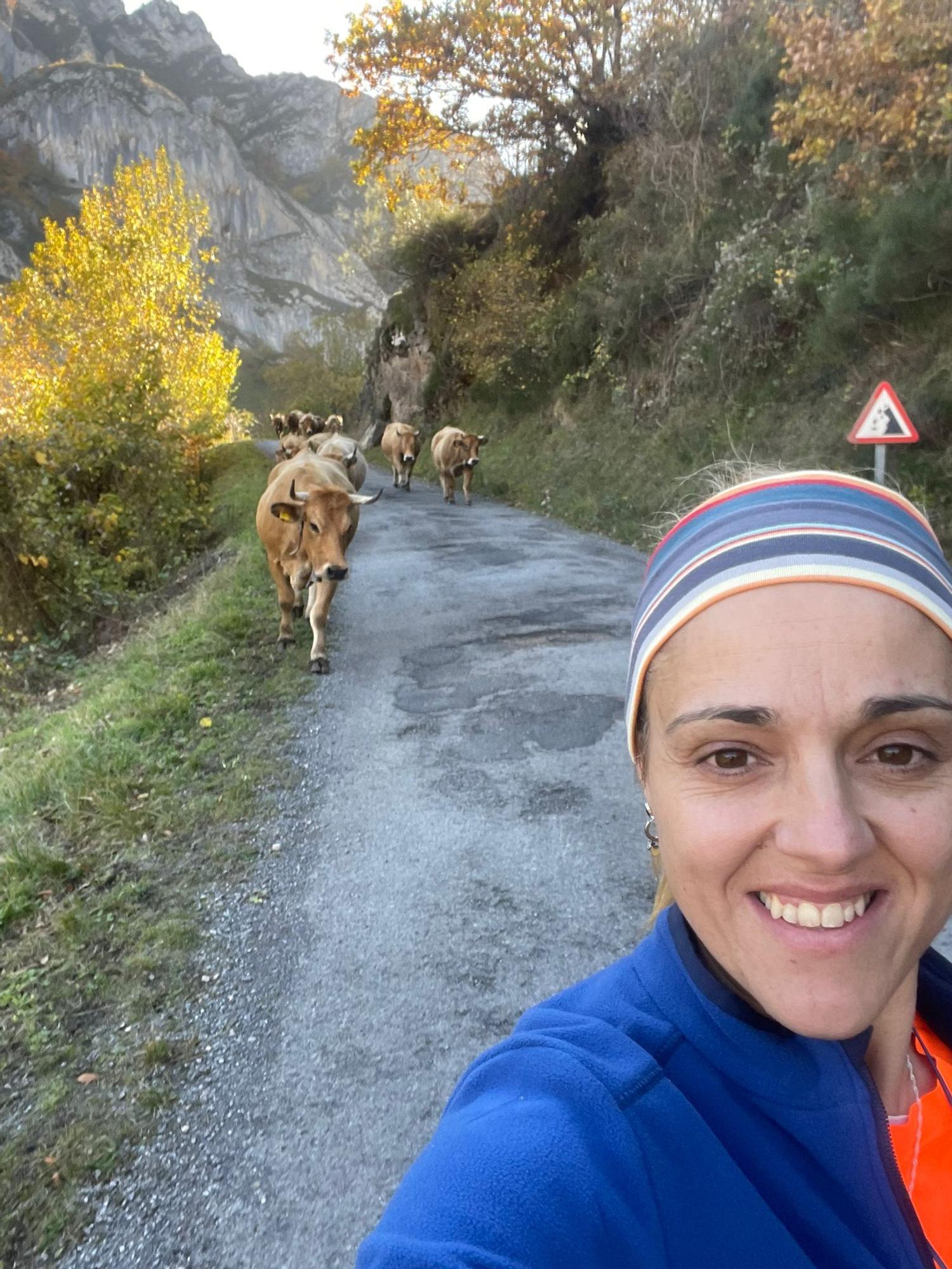 Lucía Velasco, trasladando sus vacas en Somiedo.