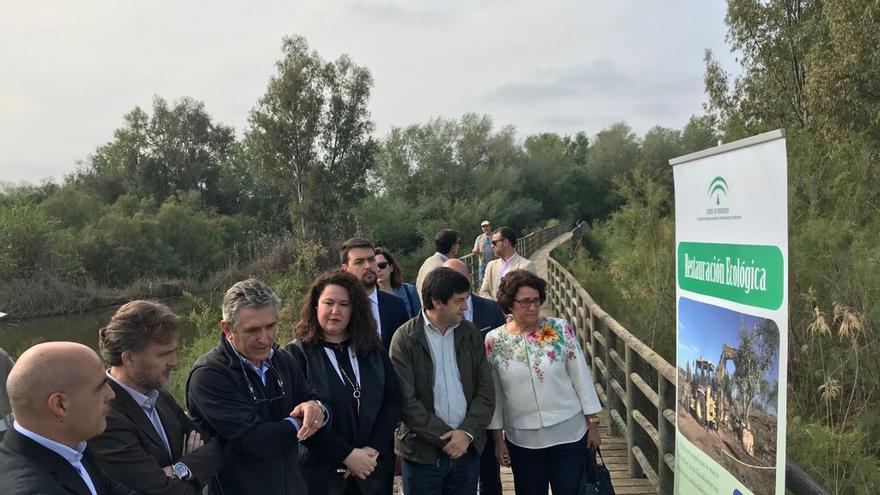 El consejero de Medio Ambiente, el segundo por la izquierda, visitó ayer con otras autoridades el Corredor Verde del Guadiamar. / El Correo