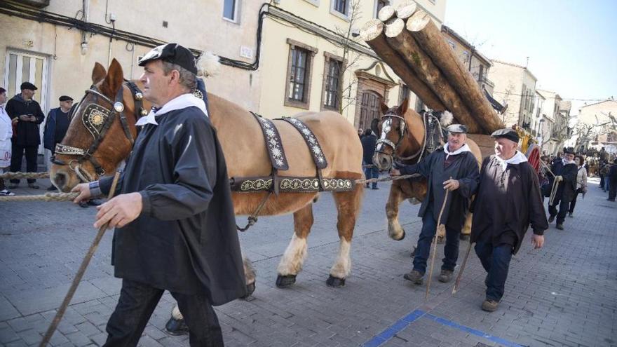 Cavalcada de diumenge a la Festa dels Traginers de l&#039;any passat