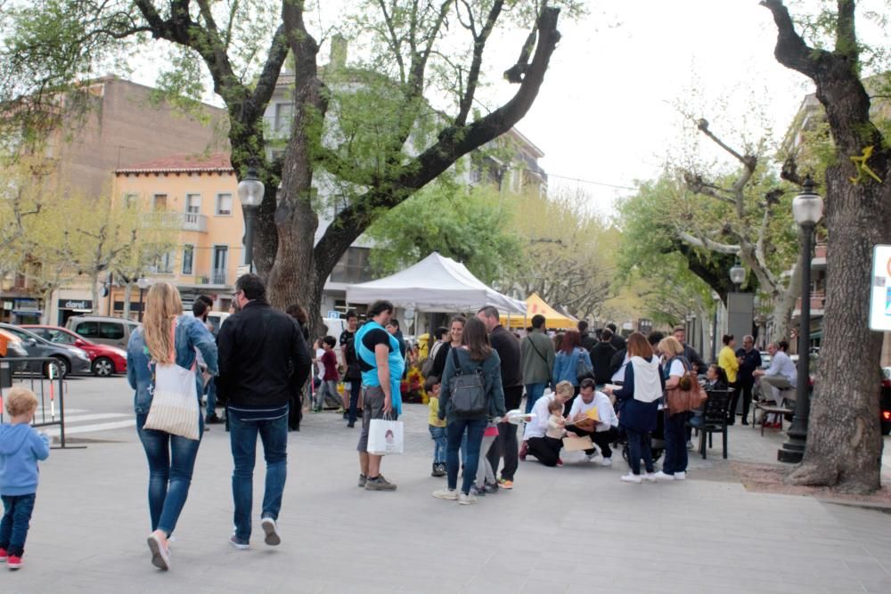 Diada de Sant Jordi a Solsona