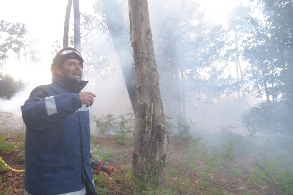 Incendio forestal en A Illa