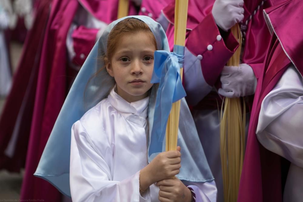 Semana Santa 2018: Procesión de La Borriquita