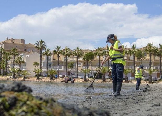 Trabajadoras limpiando ayer de fango y algas la orilla del Mar Menor en la Playa de las Antillas de La Manga.