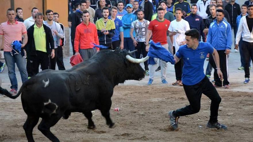 Sant Vicent inaugura la temporada taurina de la mano de Partido de Resina y Jandilla