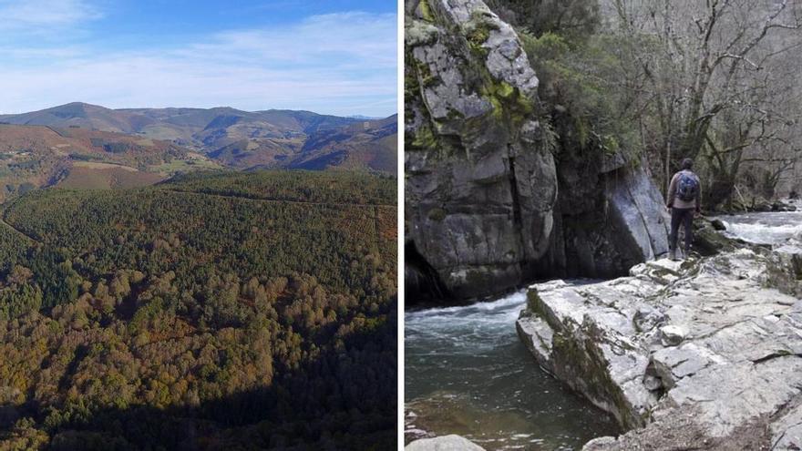 El tesoro natural mejor escondido de Galicia: una ruta por un bosque autóctono de 600 hectáreas en el corazón del Camino de Santiago Primitivo
