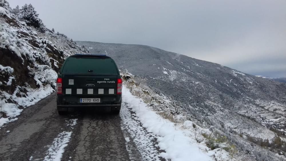 Recerca dels dos excursionistes perduts al Puigped