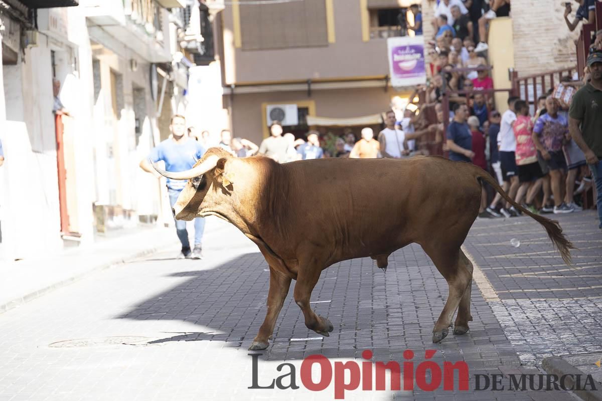 Tercer encierro de las Fiestas de Moratalla