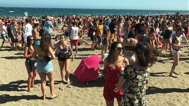 Carnaval de Maspalomas 2017: Fiesta de Carnaval en Playa del Inglés y Entierro de la Sardina