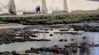 El muro de Las Canteras seguirá deteriorándose tras quedar desierta la obra prevista