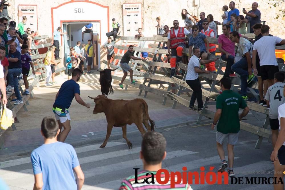 Encierro 'pequeño' en Calasparra