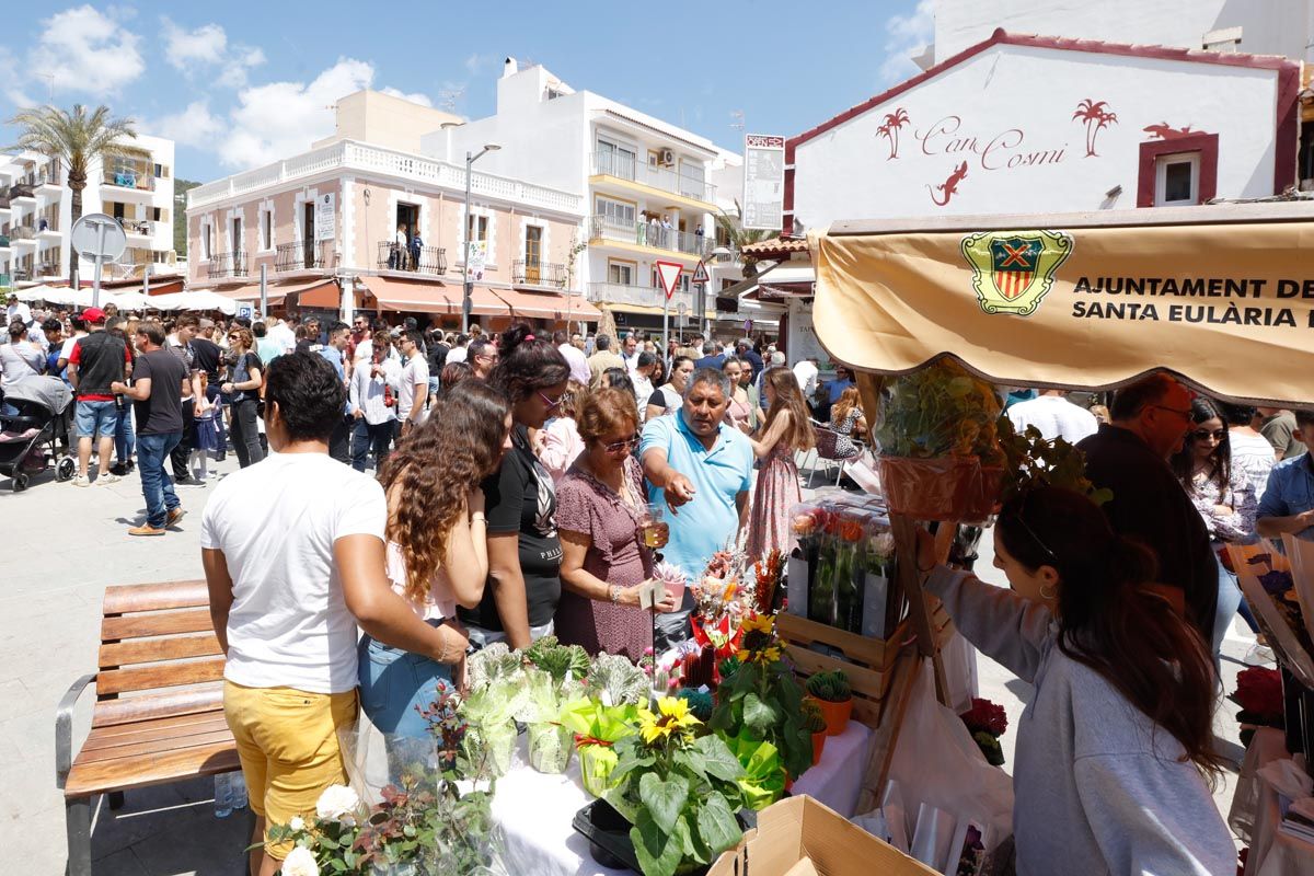 Anar a Maig 2022 en Santa Eulària