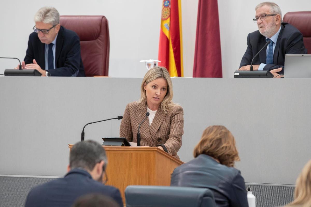 Ana Martínez Vidal,  en la Asamblea.