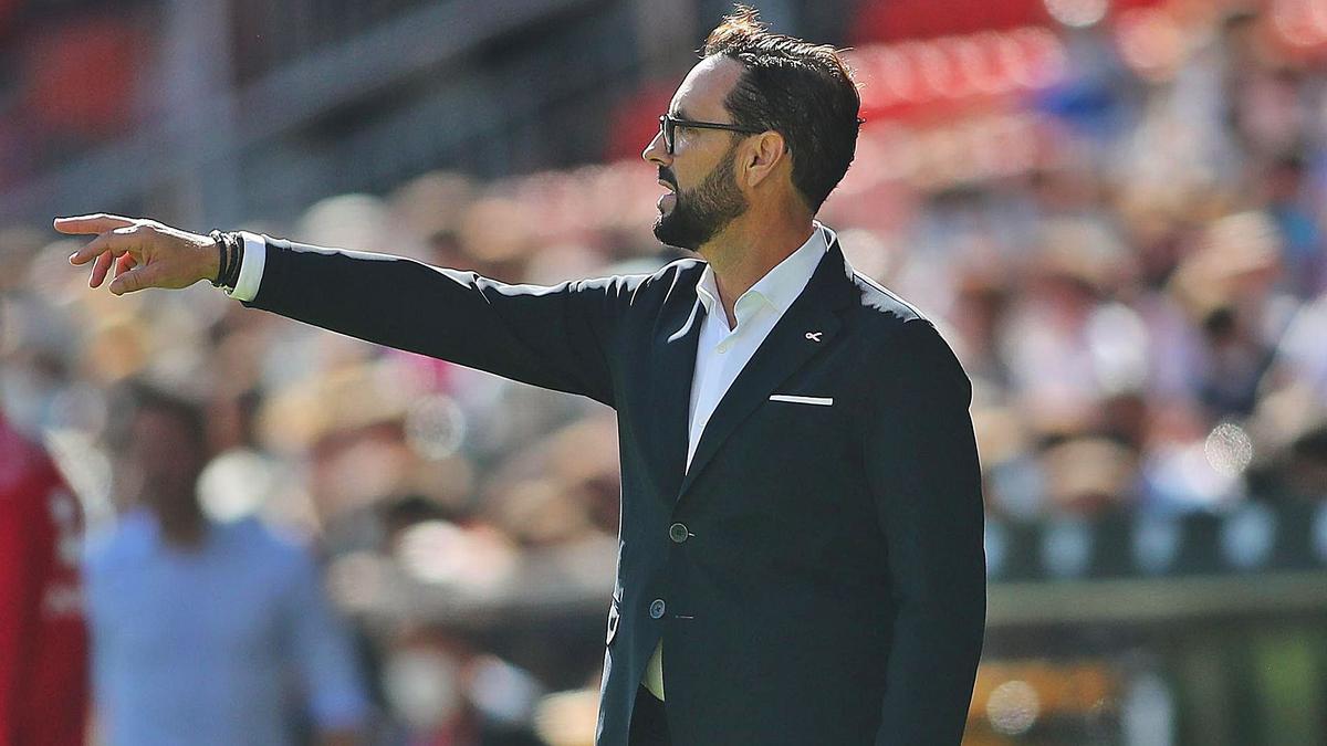 Bordalás dirige desde la banda durante el Valencia-Mallorca de la jornada diez de LaLiga. | FRANCISCO CALABUIG