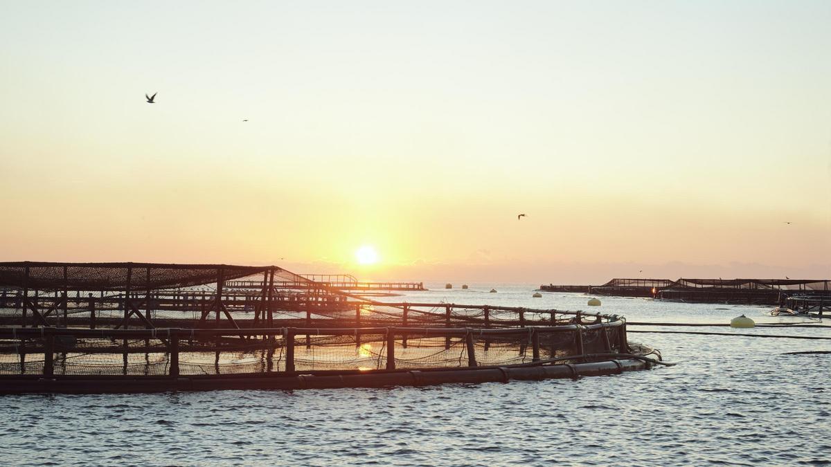 Viveros de Villajoyosa