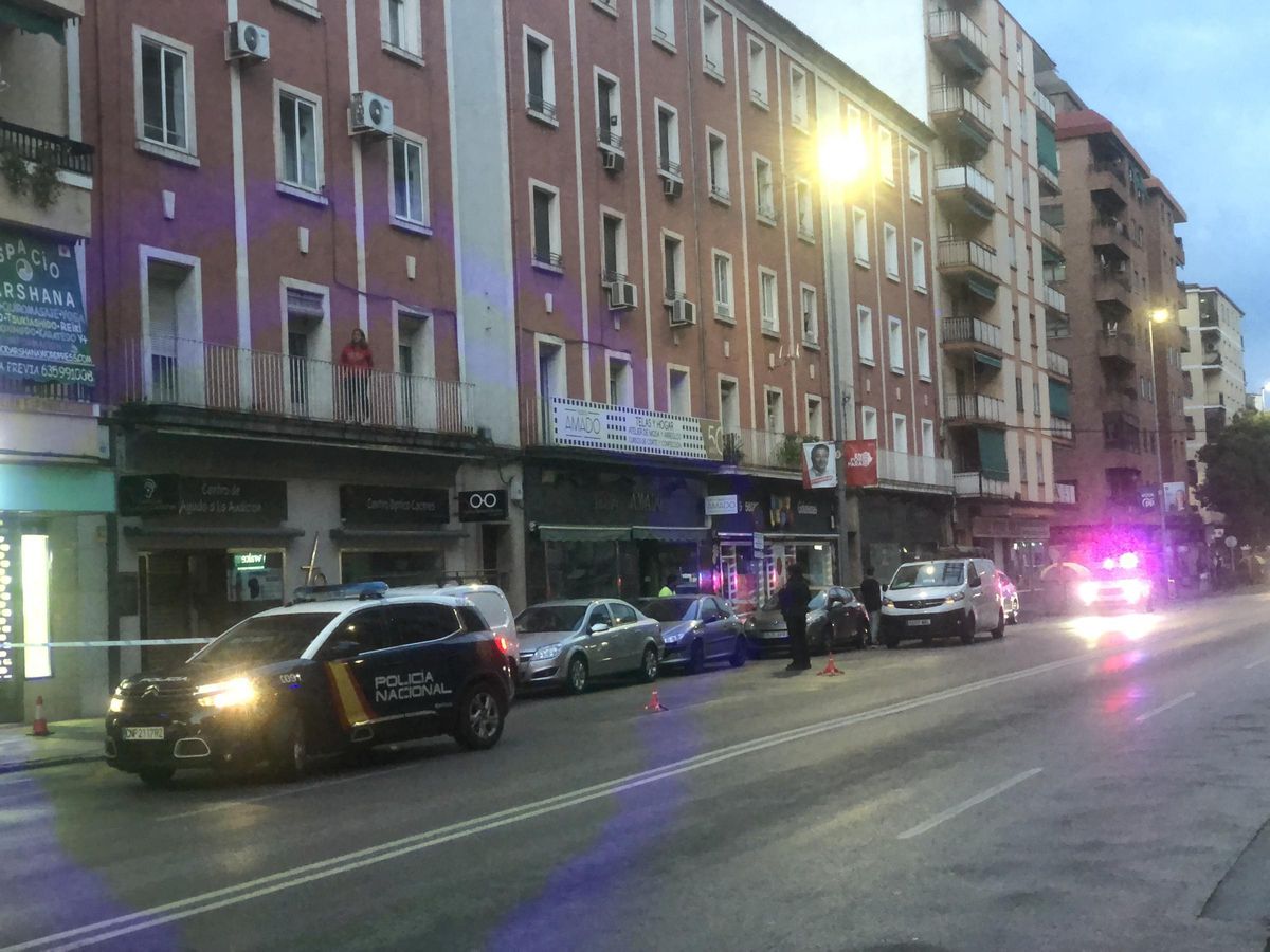 Un coche de la Policía Nacional en la avenida cacereña.