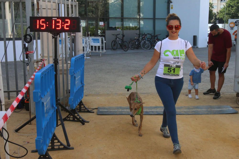 El Parque Huelin ha acogido la primera edición de un evento destinado a las mascotas y a sus dueños, con carreras en diversas categorías, actividades gratuitas y numerosos stands