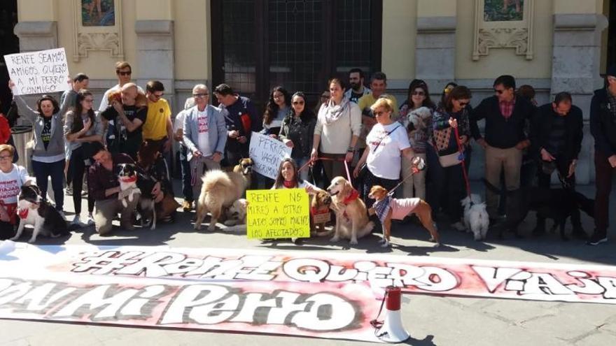 Exigen vagones &#039;petfriendly&#039;  a Renfe para poder viajar con perros de todos los tamaños