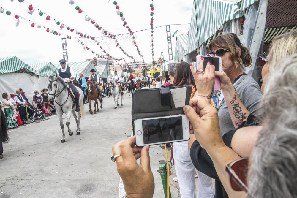 Feria de Sevillanas 2016 en Torrevieja