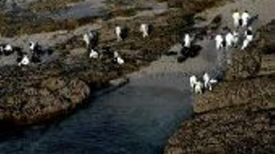 Cincuenta playas de Galicia están limpias de chapapote