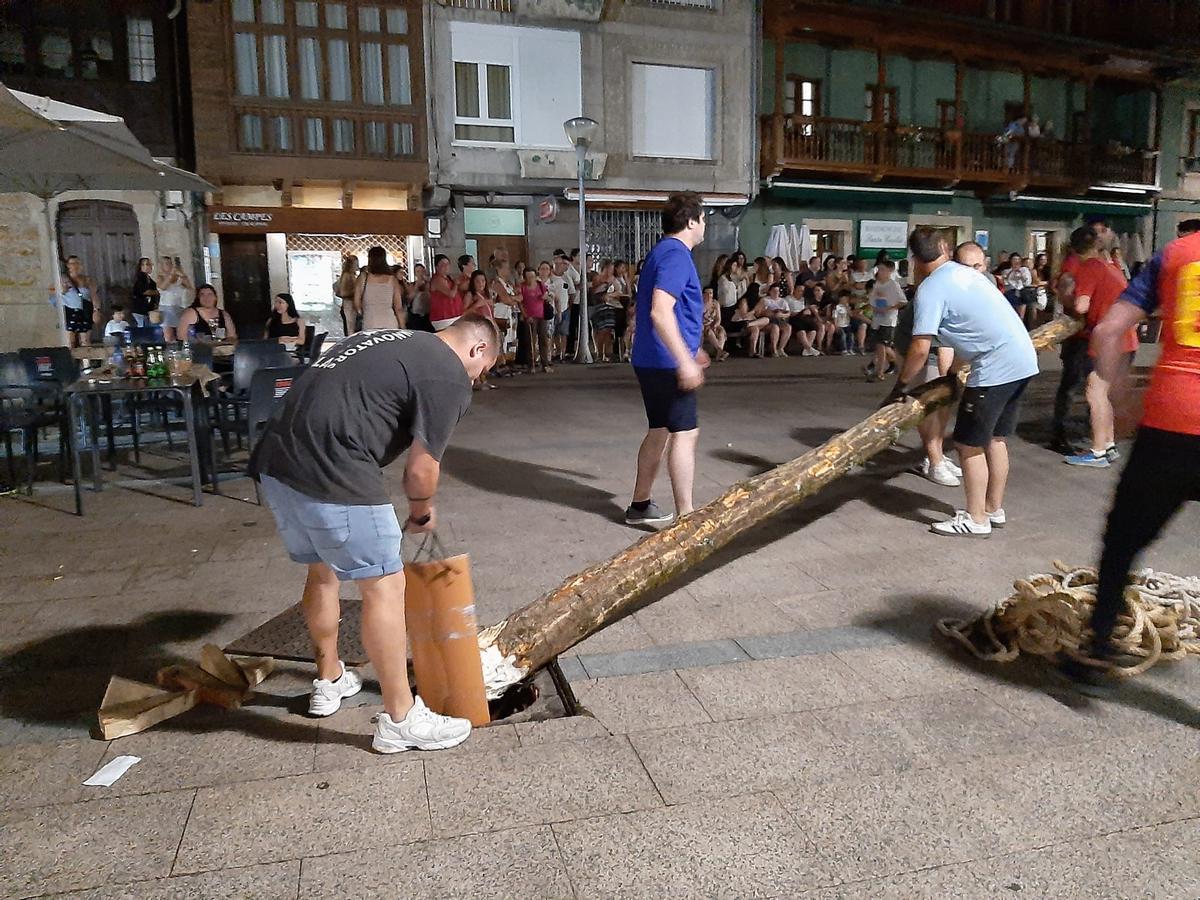 Los solteros plantan el álamo por San Juan en la Pola