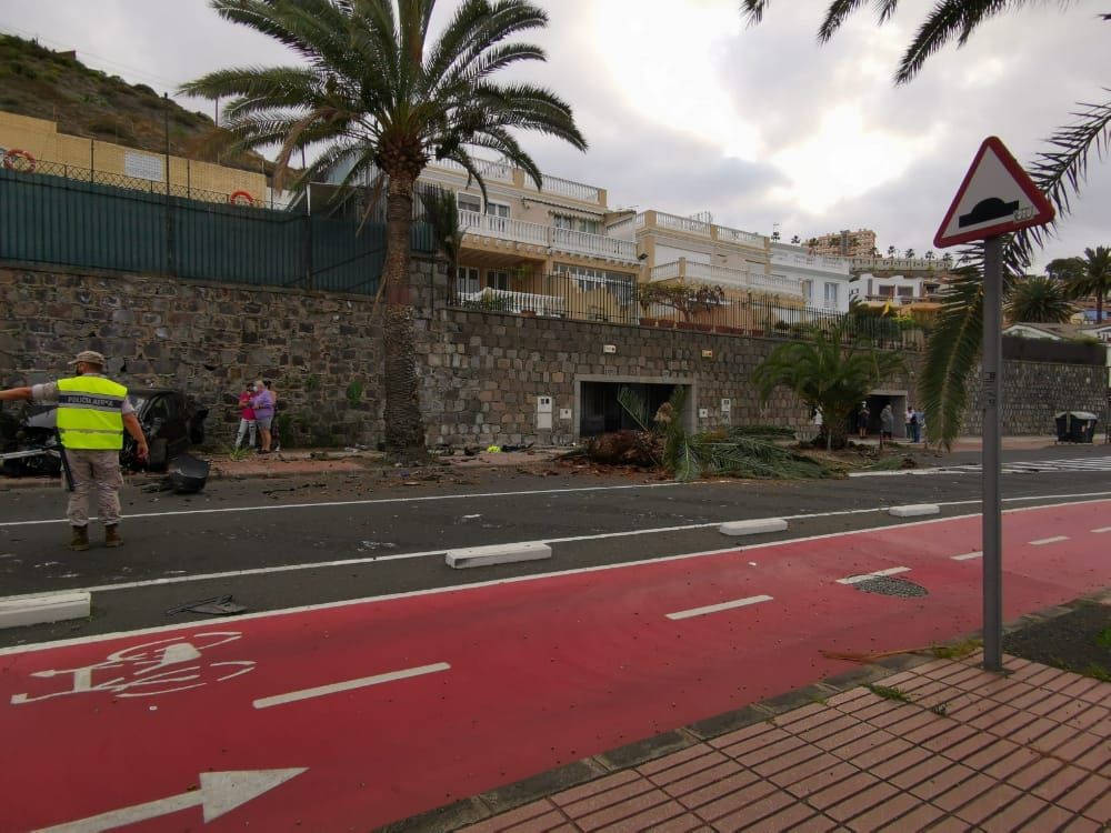 Un coche impacta contra una palmera en la capital grancanaria