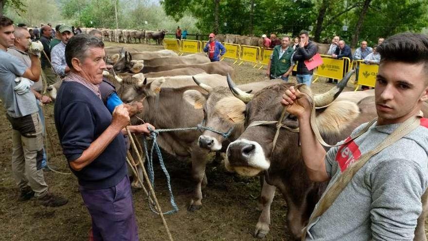 Un grupo de ganaderos con sus reses, en el certamen organizado ayer en Sobrescobio.