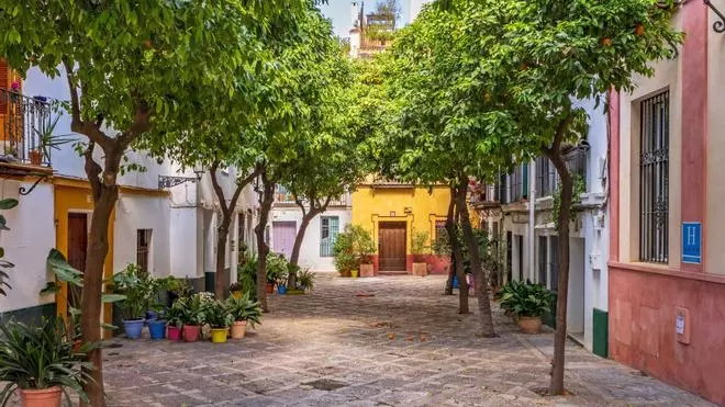 El restaurante de Sevilla con 130 años de historia ubicado en la cárcel en la que Cervantes comenzó El Quijote