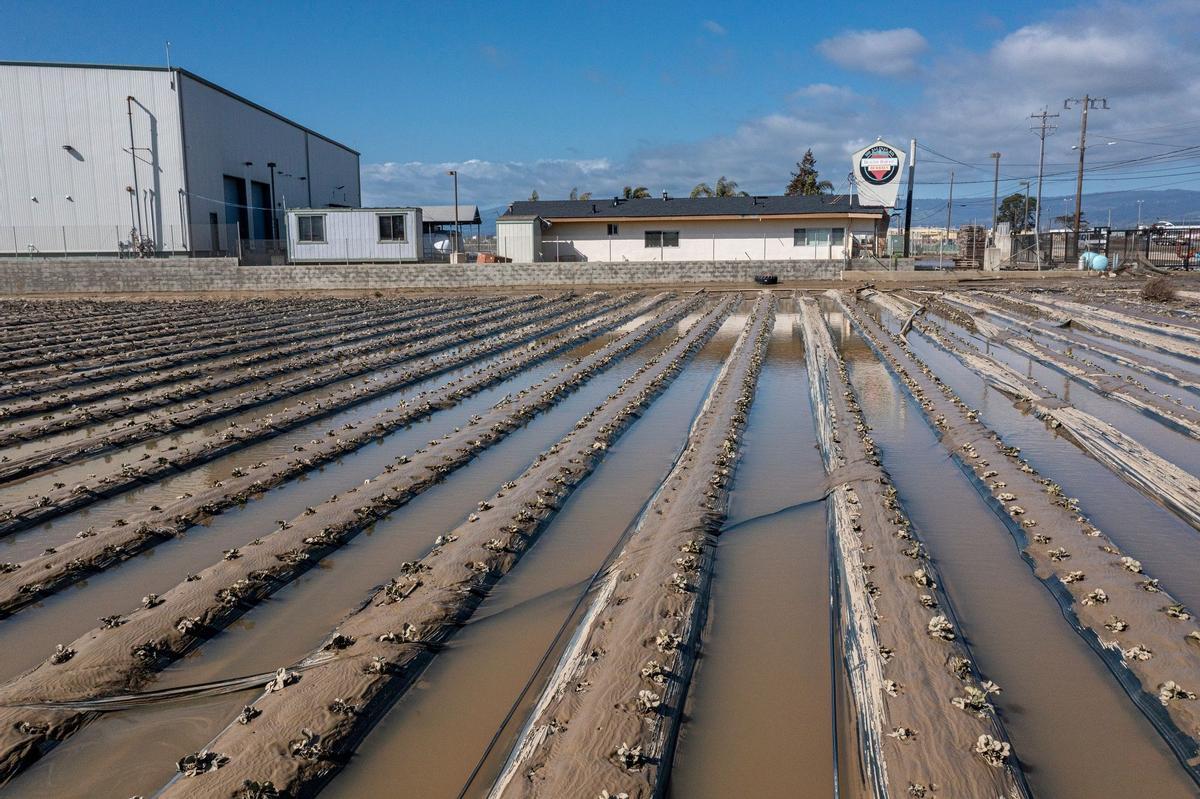 Campos inundados en Pájaro (California) debido al paso de un río atmosférico