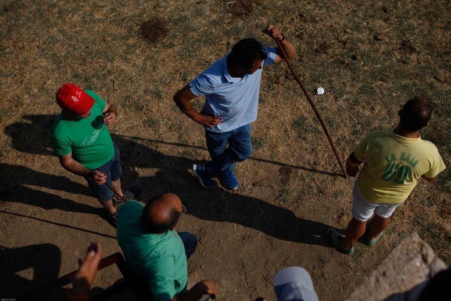 Fiestas en Zamora: Encierro en Venialbo