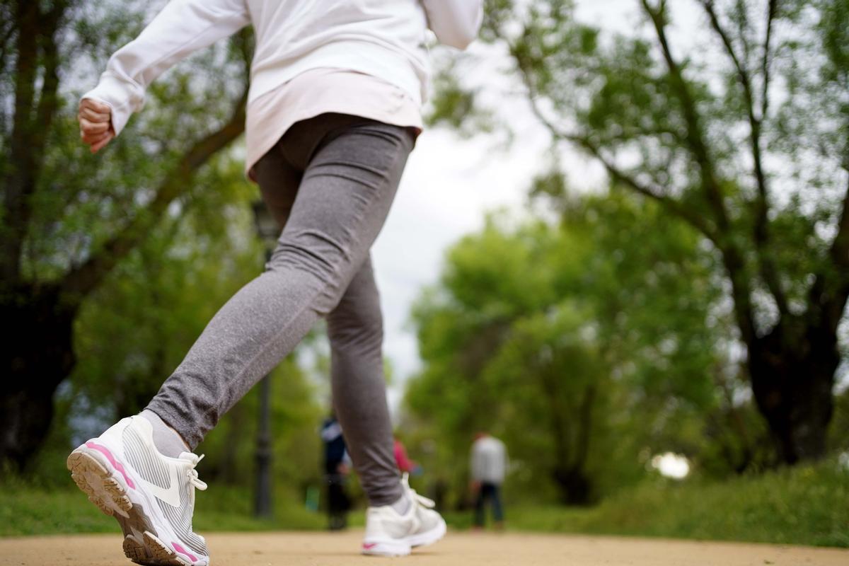 Una persona camina por el paseo del bosque de Encinas de Boadilla del Monte.