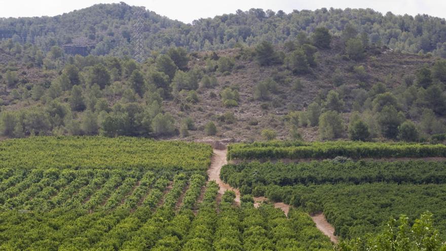 Imagen panorámica de los terrenos de Porxinos.