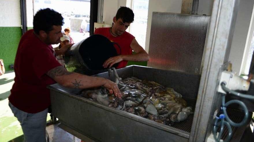 Dos trabajadores descargan pulpo en una lonja gallega. // Gonzalo Núñez