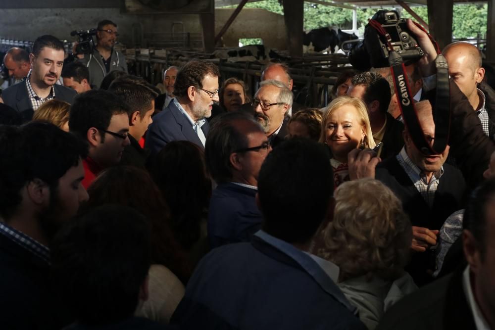 Visita de Mariano Rajoy a una ganadería en Gozón (Asturias)