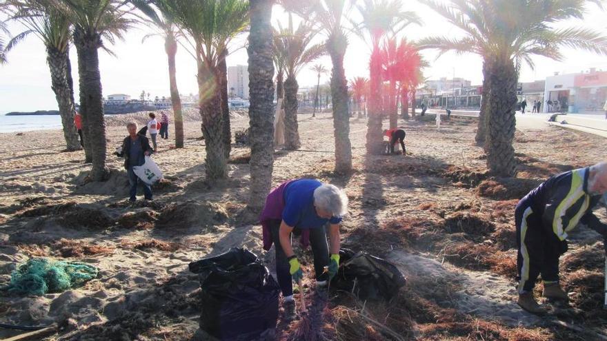 Los voluntarios retiran miles de plásticos de la playa del Arenal de Xàbia