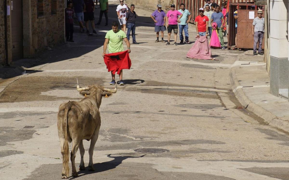 El renacer de las comedias de corral en Alcañices