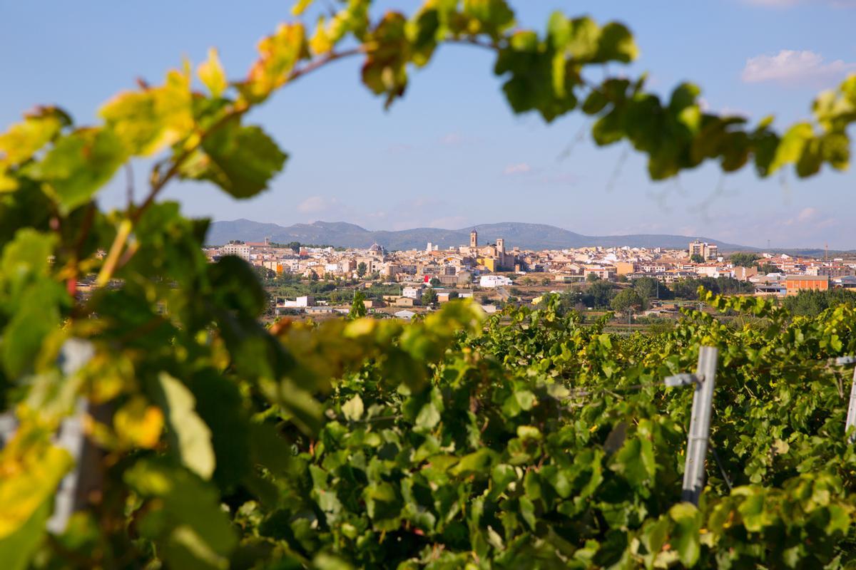 Tiene la fiesta del vino más antigua de España.