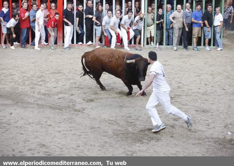 GALERIA DE FOTOS -- Almassora despide unas fiestas con mucho ambiente