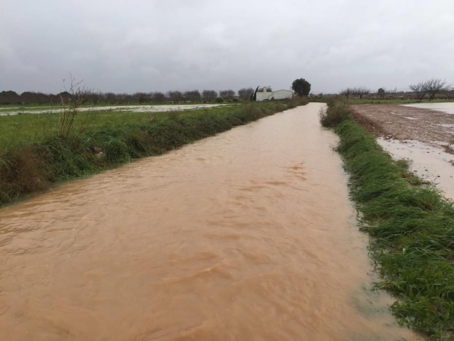 Los estragos del temporal en Mallorca