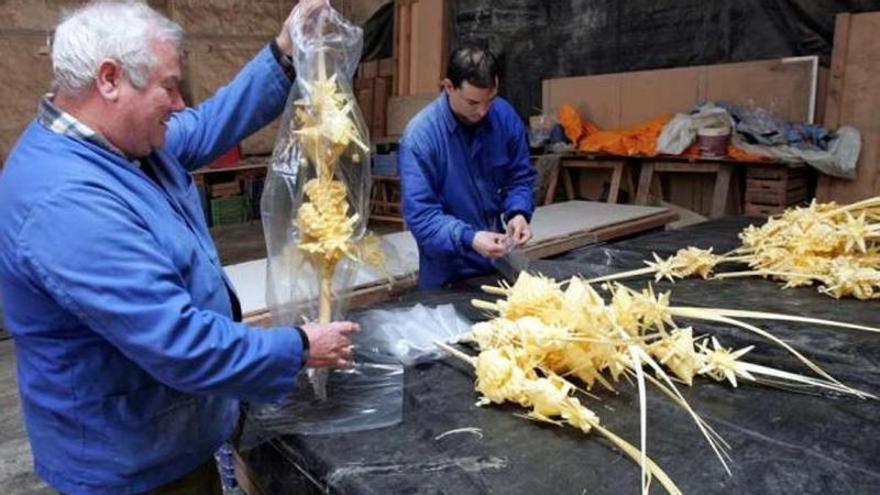 Vélez-Málaga organiza un taller de palmeras rizadas para preparar la Cuaresma