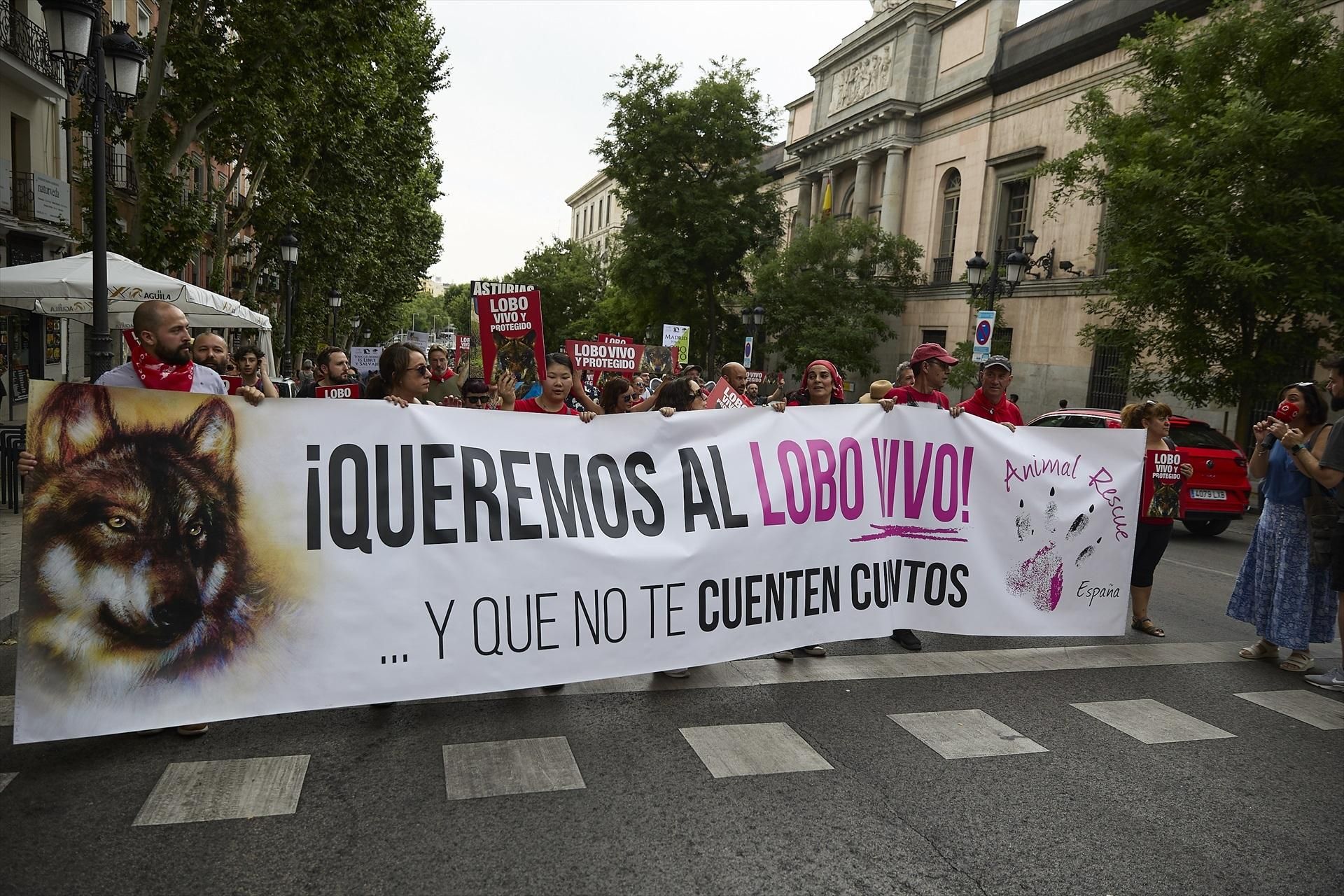 Las imágenes de la manifestación en Madrid por el lobo