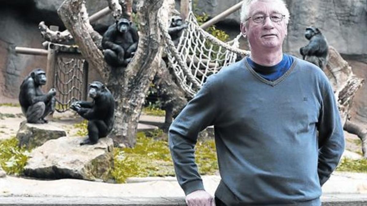 Grandes simios 8 Frans de Waal, ayer, junto al recinto de los chimpancés del Zoo de Barcelona, donde una hembra adoptó a una cría.