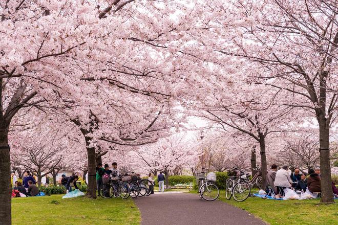 Parque Ueno Kōen