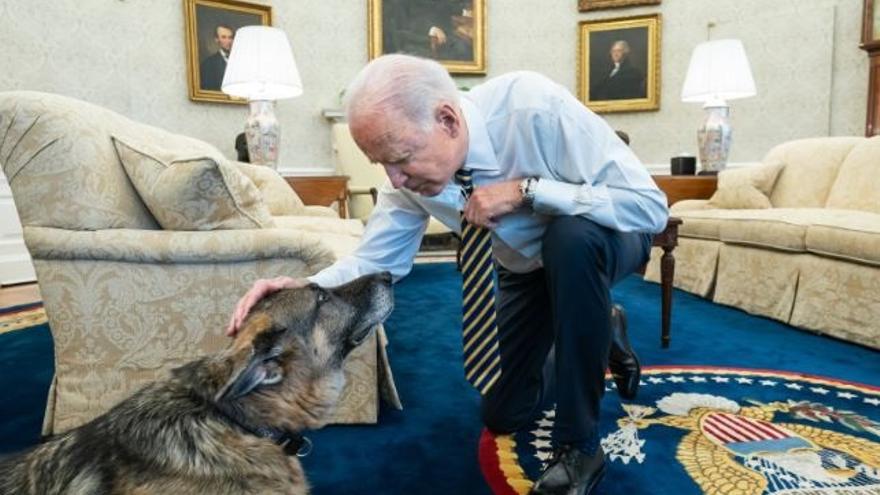 Joe Biden acaricia a Champ, uno de los perros del presidente estadounidense.