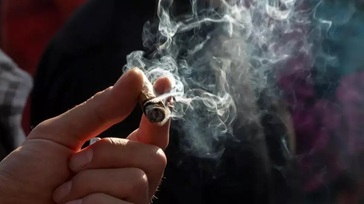 El consumo de cannabis entre los adolescentes disminuye un 40% en las dos últimas décadas