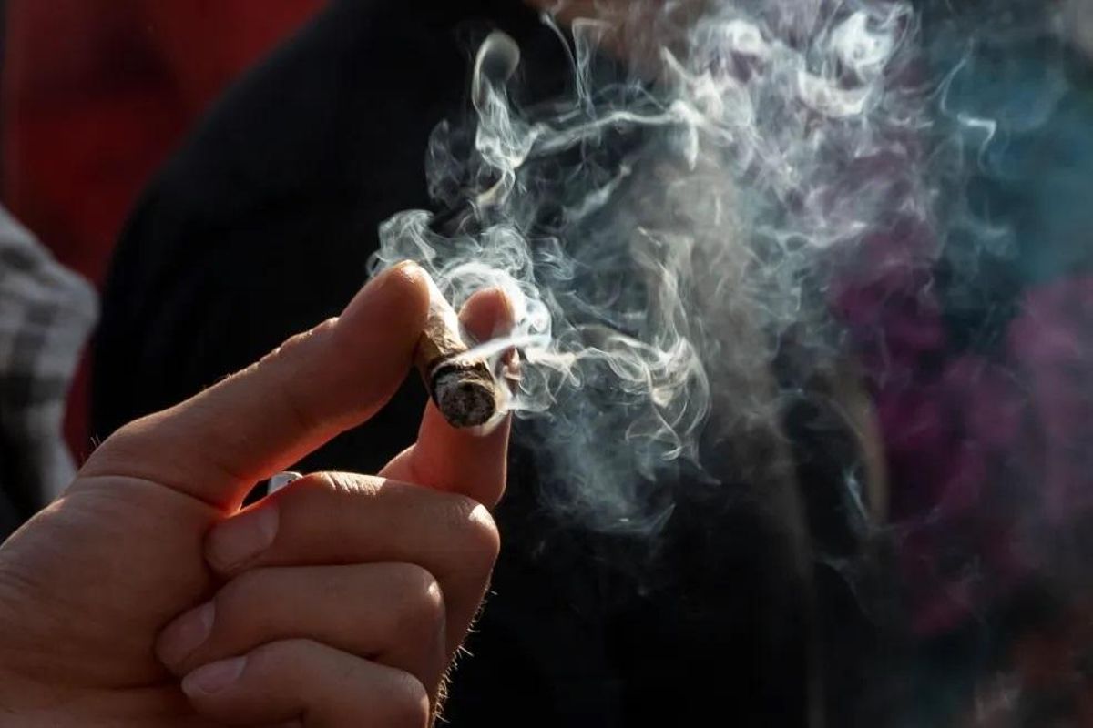 El consum de cànnabis entre els adolescents disminueix un 40% en les dues últimes dècades