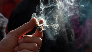 El consum de cànnabis entre els adolescents disminueix un 40% en les dues últimes dècades