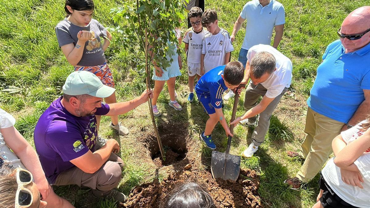 EN IMÁGENES: Los escolares de Corvera plantan los árboles del mañana en el embalse Trasona