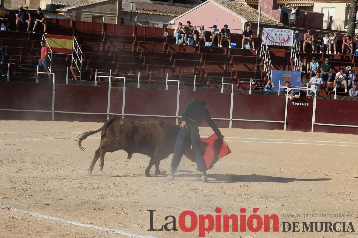 Festival taurino en Mula (Rogelio Treviño, Francisco Montero, Parrita y Borja Escudero)