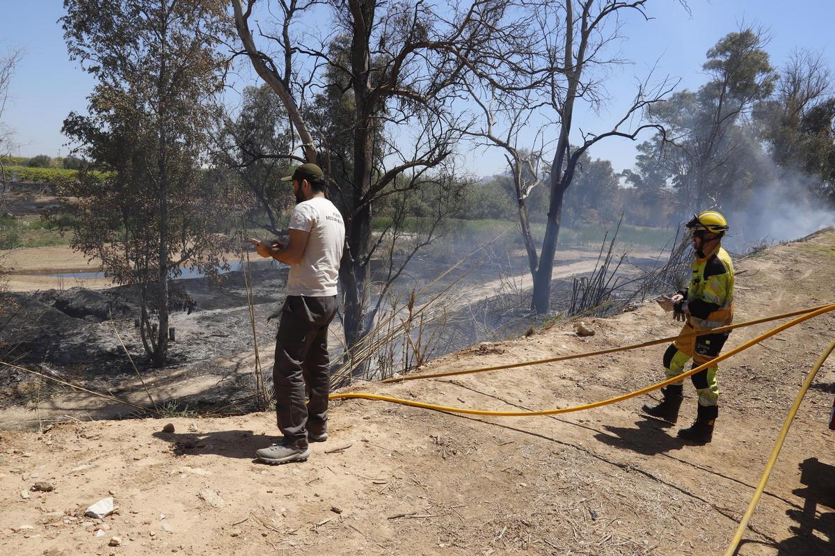 Los bomberos, en la fase final de la extinción